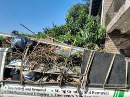 Best Dumpster Rental Services  in Lebanon, MO